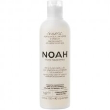 Šampūnas Noah 1.5 nuo pleiskanų 250 ml, 1 l
