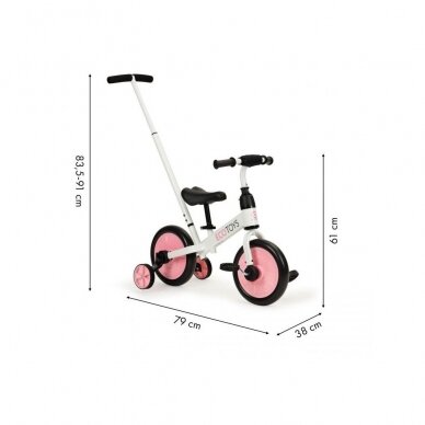 Balansinis dviratukas 3in1 Eco Toys, su pėdalais, pagalbiniais šoniniais ratukais