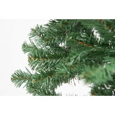 Kalėdinė eglutė Winteria, žalia, 180 cm 1