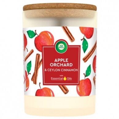 Kvapioji žvakė Air Wick Essential Oils Apple Orchard & Cinnamon