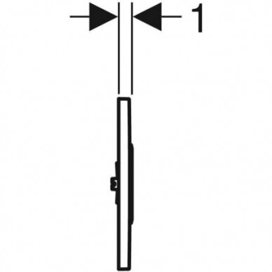 Pisuaro valdymo mygtukas Geberit Type 10 3