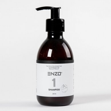 Šampūnas su Argano aliejumi visų tipų plaukams Enzo 250 ml