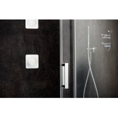 Stumdomos dušo durys Ravak Matrix MSD2 100, 110, 120 cm