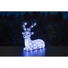 Šviečianti dekoracija Finnlumor Acrylic Deer 80 LED, 46,5 cm