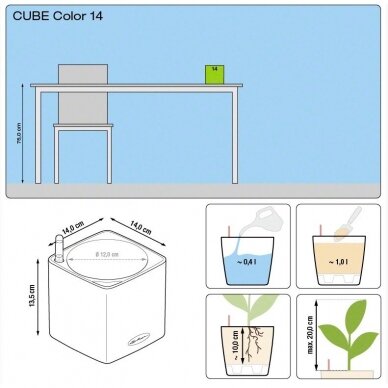 Vazonas Cube Color LECHUZA